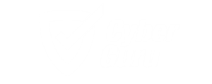Cyber Guru